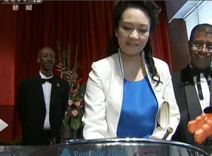 彭丽媛 演奏图片