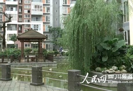 哈士奇模仿婴儿爬行图片