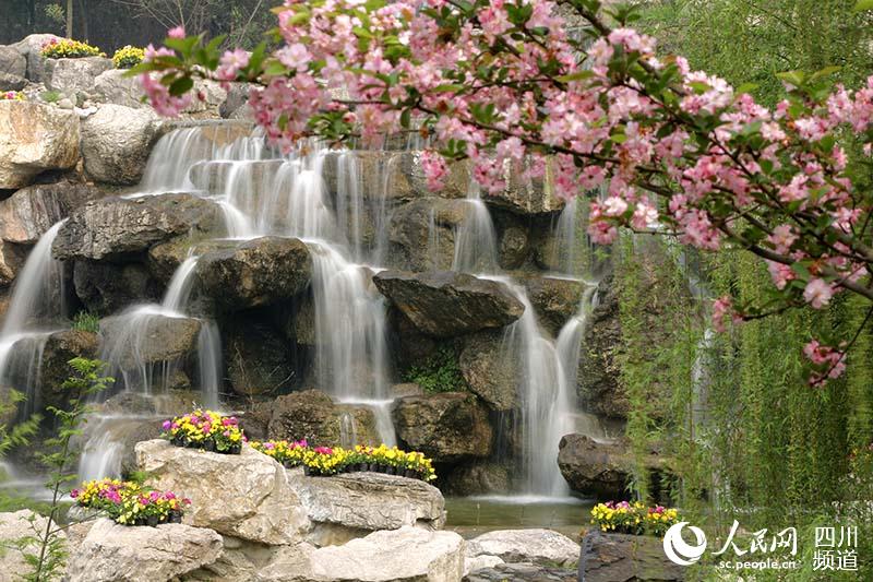 拍摄地:青白江·凤凰湖湿地公园