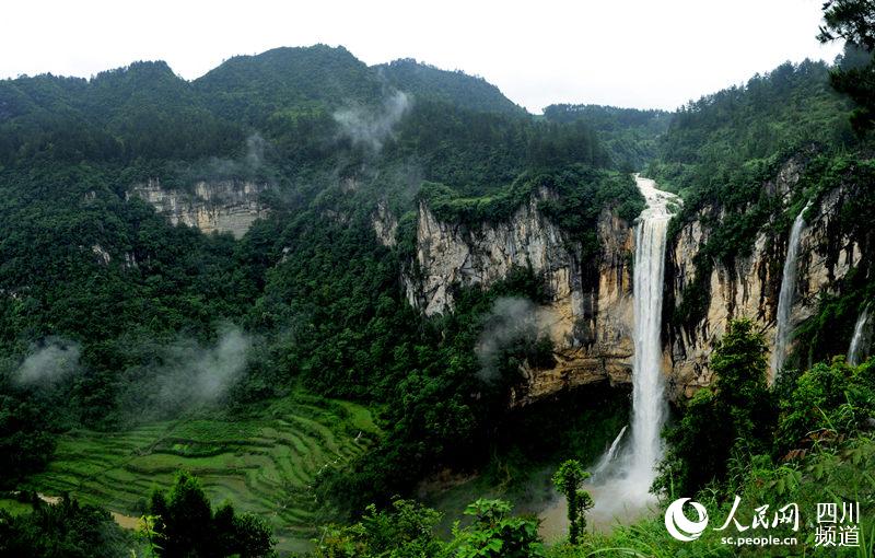 古蔺水口杨梅节4日开幕 游客可摘梅自酿杨梅酒