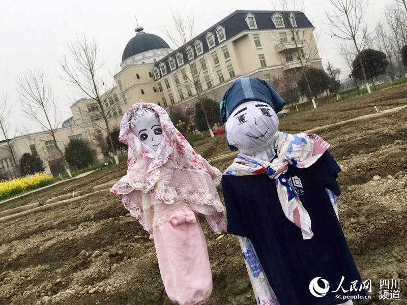 图为大学生自制稻草人，样式奇特。（李凌骄 摄）