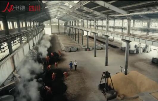 回顧：2015酒博會2015中國國際酒業博覽會在瀘州開幕，來自20多個國家和地區的近500家酒企共商經濟新常態下酒業發展大計。