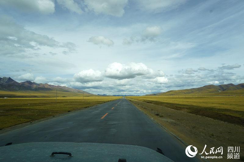 羌塘草原:青藏线上最美的高原草甸风光