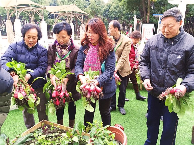 社區打造都市農場