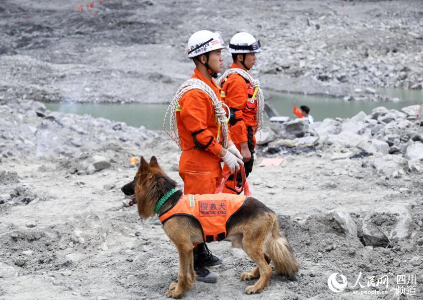 救援官兵和搜救犬在救援現場（朱虹 攝）
