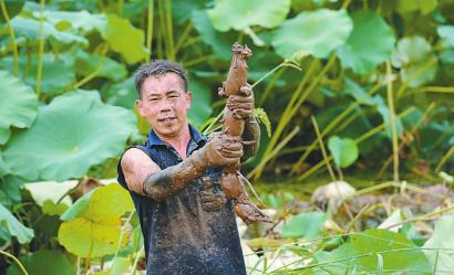 四川频道-人民网