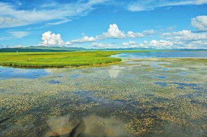 “中國最美濕地”若爾蓋花湖美如仙境