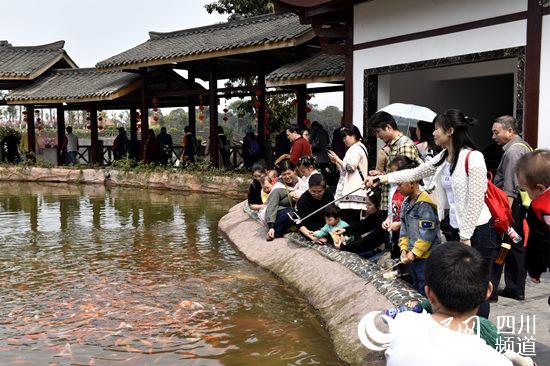 四川叙永迎来春暖花开季 踏青赏花游持续升温