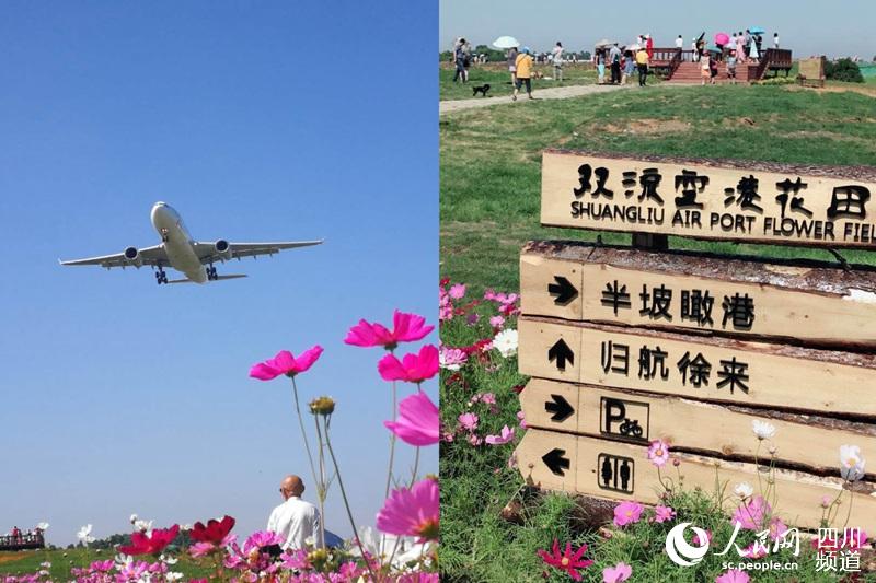 周末的成都双流空港花田人山人海.(赖琳琳 摄)