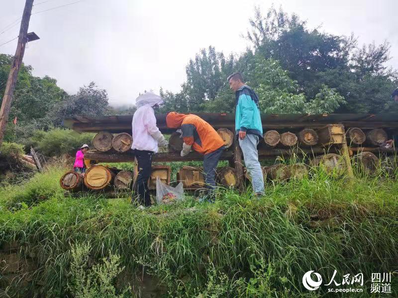 巴塘县已在中心绒、昌波、地巫3乡，打造形成了以中蜂为支柱的产业区。（巴塘县委宣传部供图）