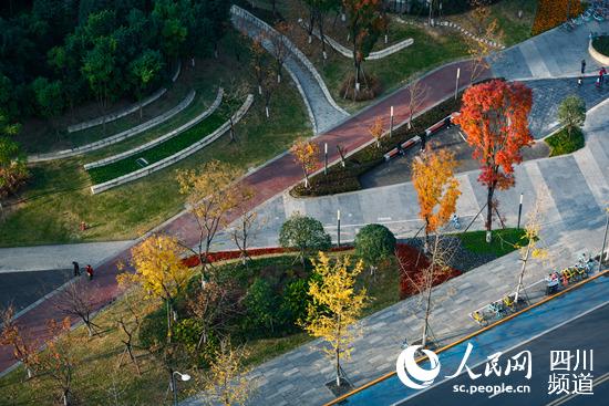 成都高新区社区绿道.(成都高新区党群工作部 供图)