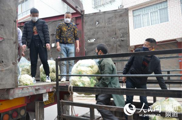 正在將花菜裝車運輸以進行市場銷售。丁文君攝
