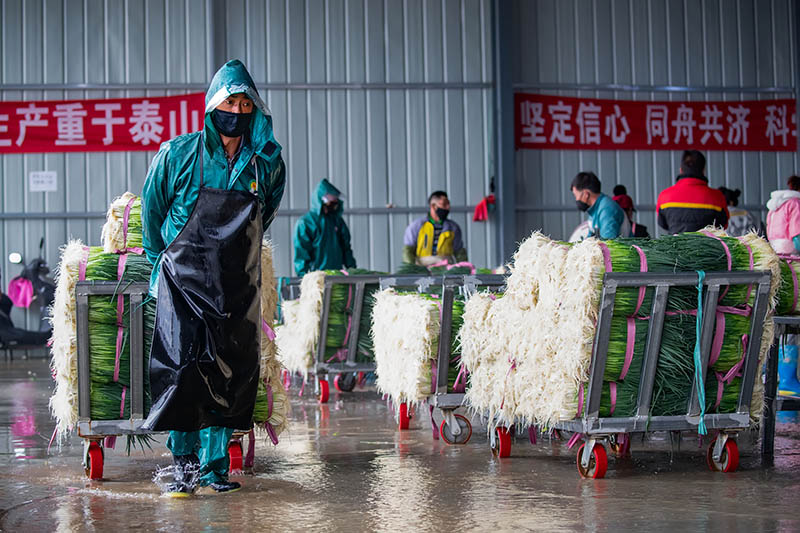 2020��2��27Ի����ɽ�ݵ²��أ��Ͷ���������֯��������С�У������г���Ӧ���������� �㣩 