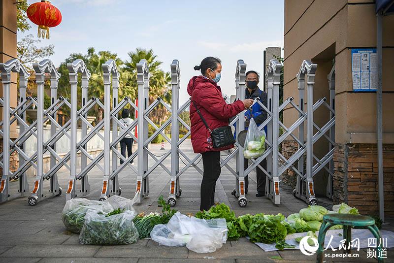 2020年2月15日，攀枝花市米易縣白馬鎮某社區實行封閉式管理以來，一位菜農每天將新鮮蔬菜擺放在社區大門口，供院內住戶選購。（張西南 攝）
