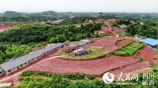 大柏山村坐落於中江縣永興鎮（圖片由受訪者提供）