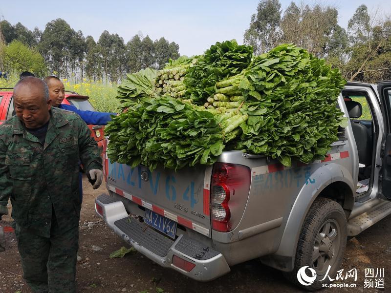 邛崍農業農村局已為30余戶果蔬種植戶提供銷售幫助，累計賣掉3000噸農產品。（邛崍市委宣傳部供圖）