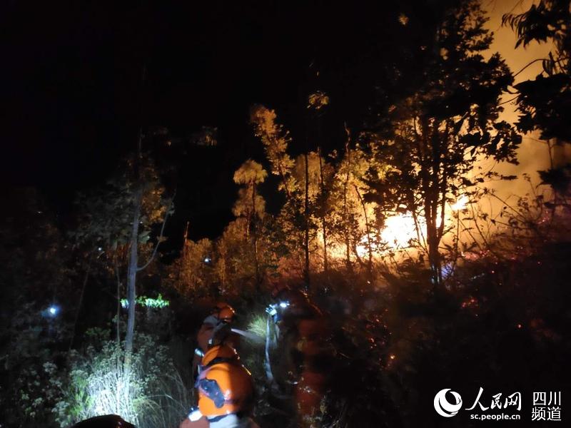 ����ֳ��������� �㣩