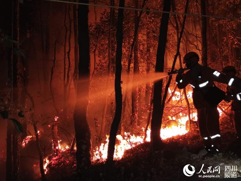灭火现场。四川省森林消防总队供图