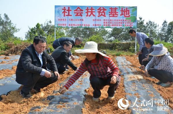 �Ĵ�������ũҵ�Ƽ����޹�˾�����˶�ũ�����м���ָ�������ľ���