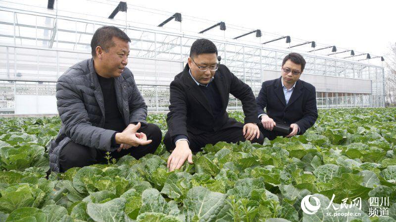 �ʴ����е����з���Ϊ�����л�����ũҵרҵ�������ṩ���ڷ����ʴ����й�ͼ