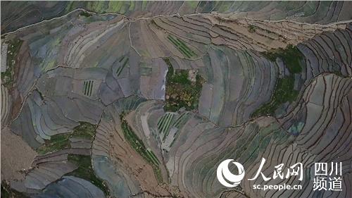 梯田。宋恩 攝