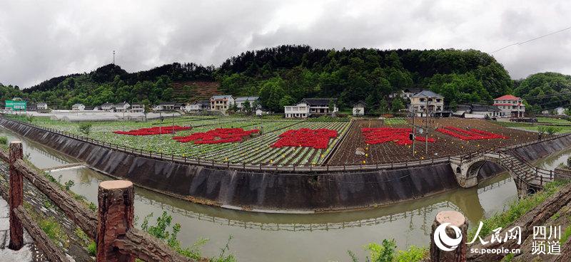 平曾蔬菜現代農業園區。張敏 攝