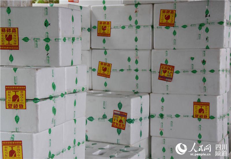 出口產品包裝。蔣兵攝