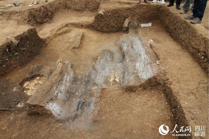 盐源县老龙头墓地考古发掘现场。沙辉 摄