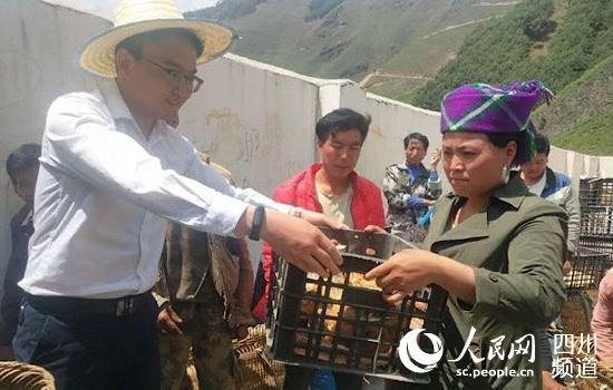 曾令帥為當地貧苦群眾發放雞苗，助力脫貧增收。工行四川省分行供圖