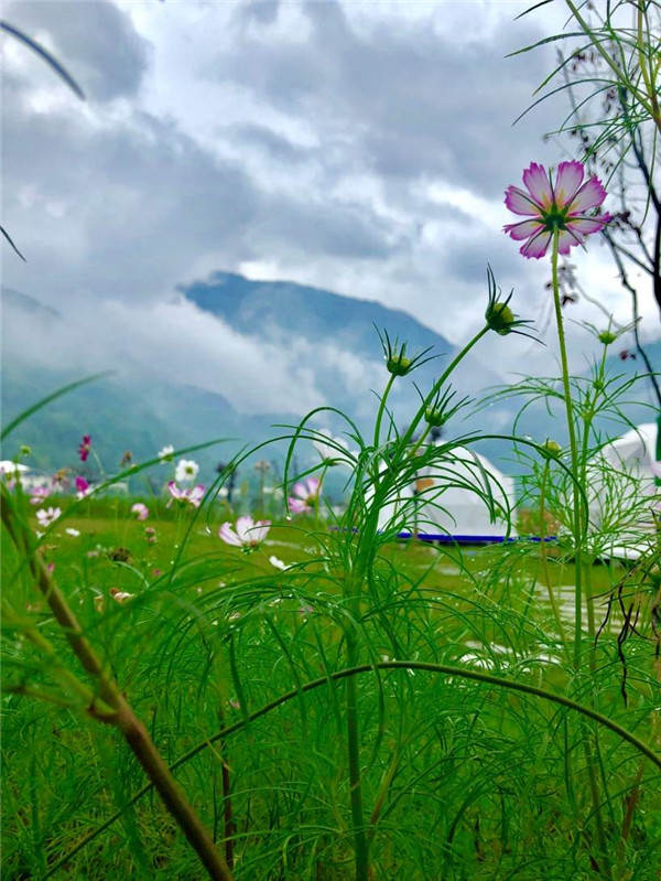 芳草鲜美的宿营地.刘海天 摄