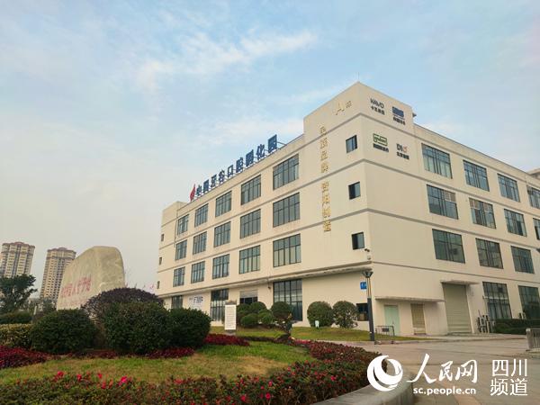 位於資陽市的中國牙谷口腔孵化園。王軍 攝