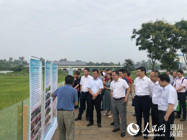 觀摩會現場。四川省農科院供圖