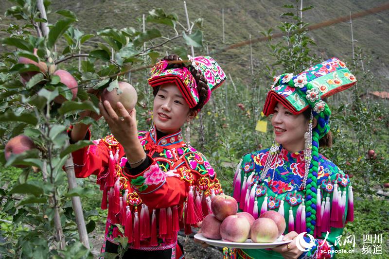 兩位身穿民族服飾的游客採摘蘋果。茂縣融媒體中心供圖