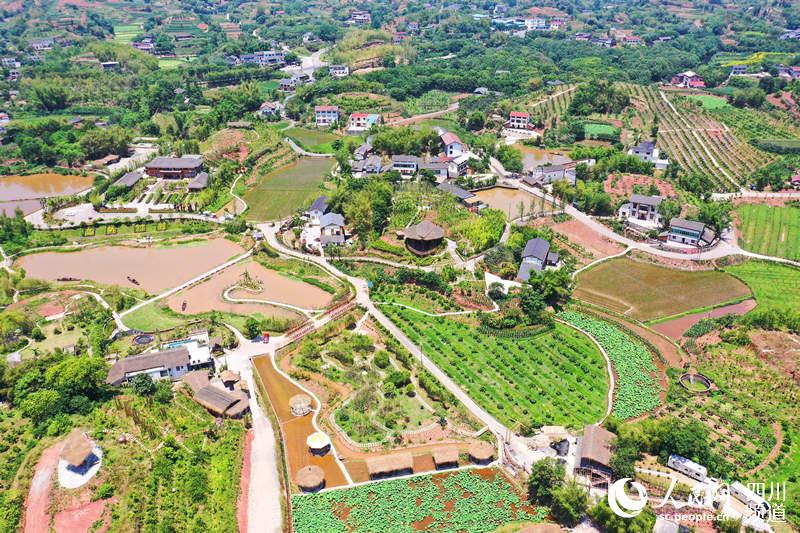 高橋村全景圖。翠屏區融媒體中心供圖
