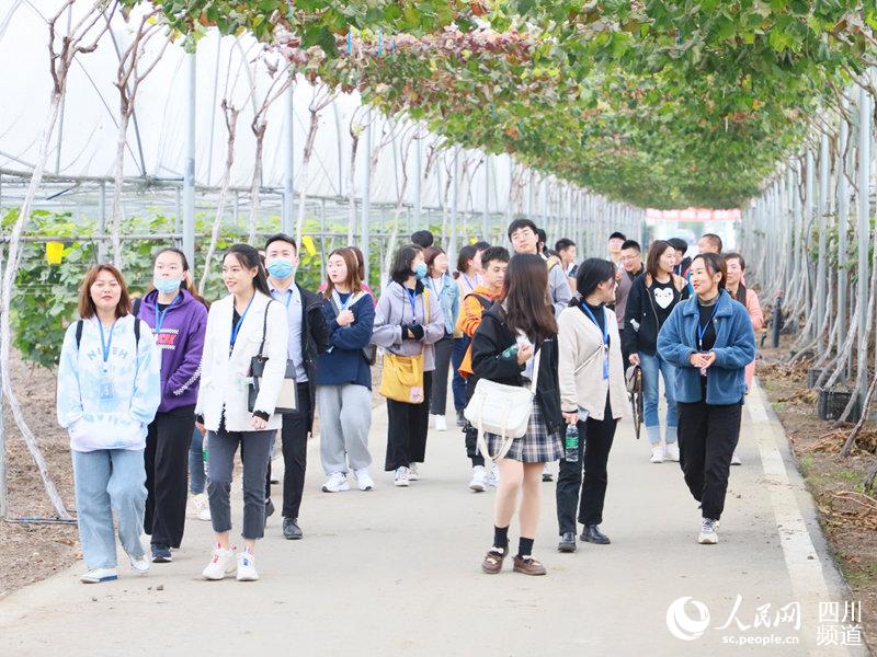 成都高新區桂溪街道2020見習嘉年華活動。成都高新區桂溪街道 供圖 