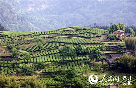 ����������ڹ������Ҷ��ҵ԰Զ����������ί��֯����ͼ