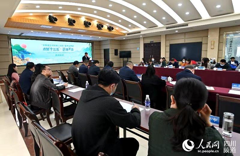 會議現場。主辦方供圖