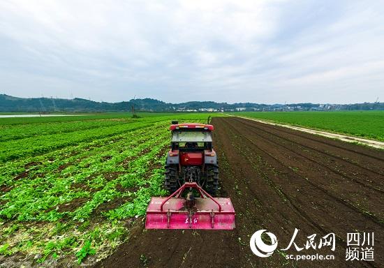 四川简阳:主要农作物机械化综合水平达56.67%