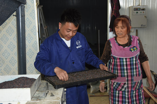 黎登泽（左一）对水稻机械化育秧进行技术指导。