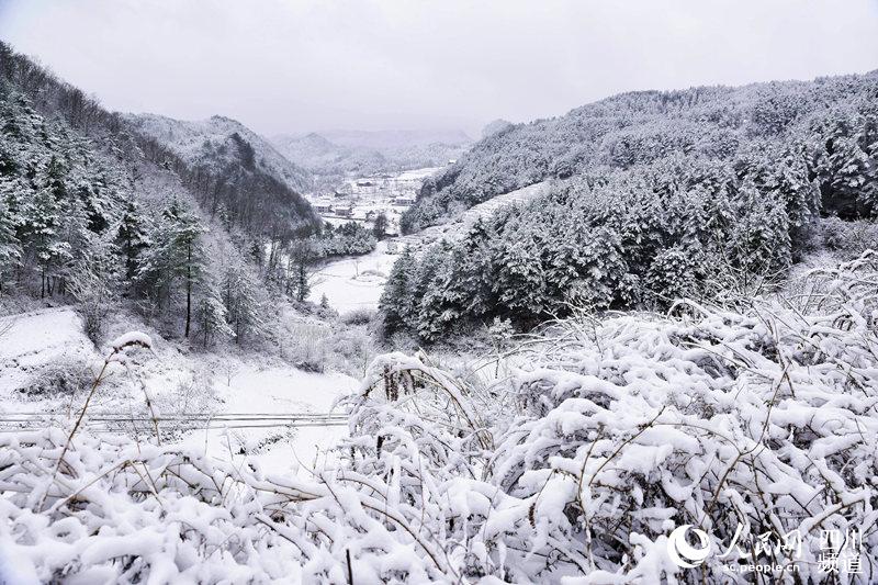 曾家山上的雪景.广元市朝天区融媒体中心供图