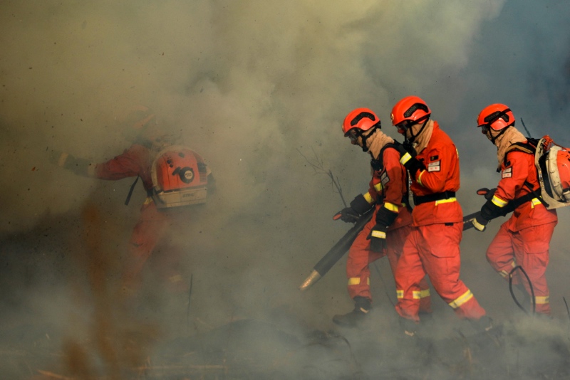 2月5日下午，成都市森林消防大隊消防員在成都市金堂縣林區進行實戰滅火演練。程雪力攝