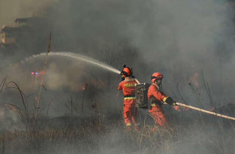 成都市森林消防大隊消防員在成都市金堂縣林區進行實戰滅火演練。程雪力攝