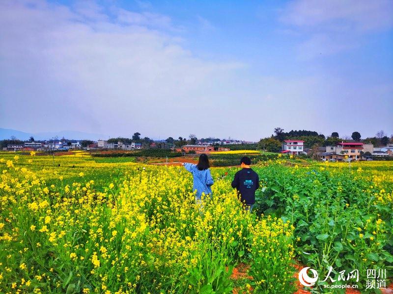 游客們穿行於美麗的油菜花海。人民網 記者彭博攝