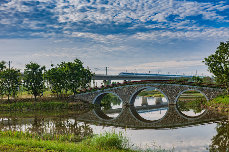 新津區金馬河白鶴灘國家濕地公園段是目前成都市唯一一個國家濕地公園。具有良好的自然生態環境以及豐富的濕地資源和鳥類資源。成都市河長制辦公室供圖