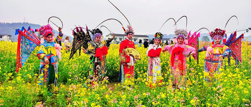 戲曲愛好者在油菜地裡表演。梁靜 攝