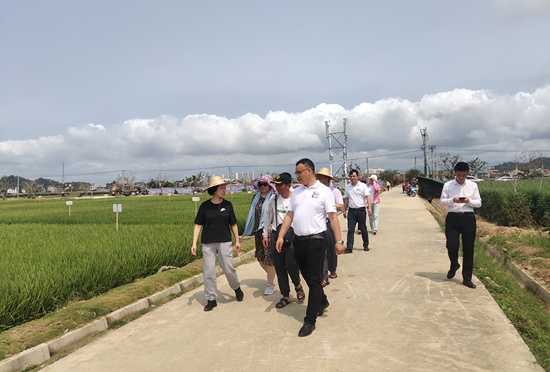 邛崍市參會代表團考察學習。邛崍市委宣傳部供圖