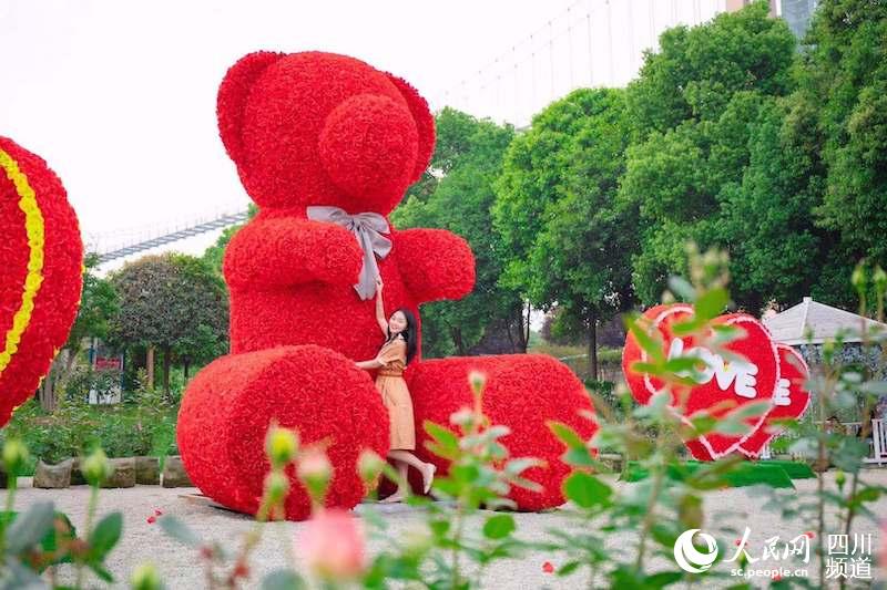 圖為由9999朵玫瑰組成的“巨型泰迪熊”。張超 攝