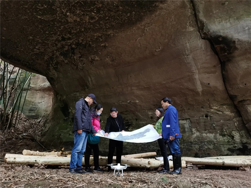 �������ɰ���������ղ顣������������ֹ�ͼ