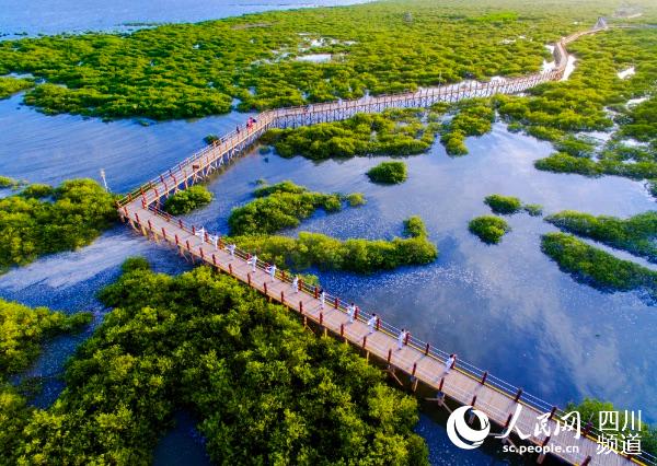 北海风景.覃坚摄