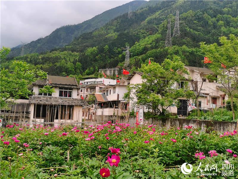 ͷ�Ϲ����������º컨�ԡ������� ��������